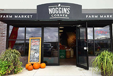 Noggins at Santé Centre